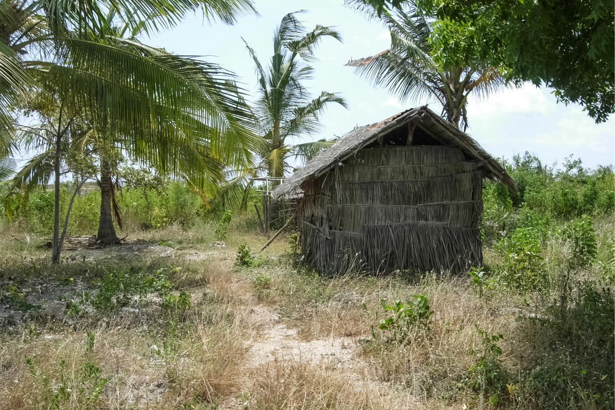 Kenyan Safari Ex-Kolkata